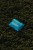 MSZ_9000.jpg
